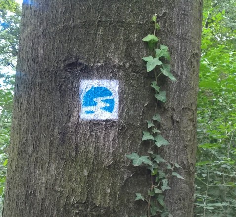 WP_20170917_13_00_51_Pro