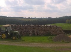 WP_20170929_15_41_00_Pro