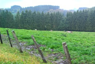 WP_20170930_11_19_37_Pro