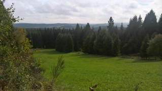 WP_20171001_14_24_26_Pro