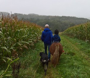 WP_20171002_10_56_15_Pro