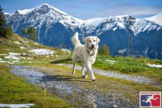 22096282_905696546244226_4854508585585497765_o