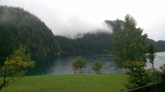 WP_20180907_13_16_46_Pro