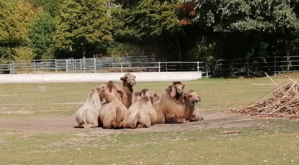Familienurlaub Freiburg