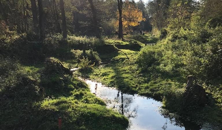 Naturgenuss im Bayerischen Wald