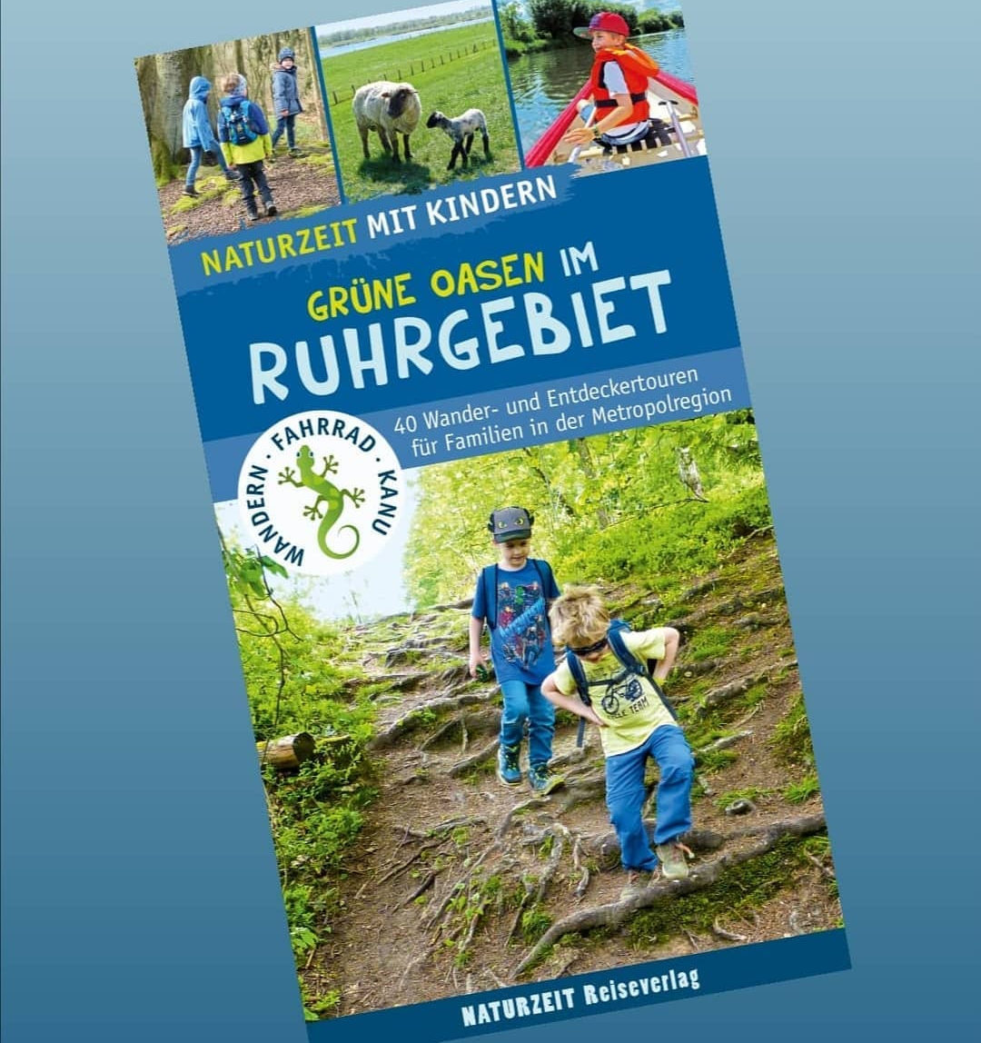 Mauseb r On Tour Outdoor Familien Gl ck Mauseb r On Tour Outdoor Familien Gl ck