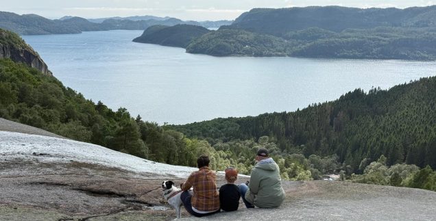 Landschaft und Felsen bei den Skrelia-Wasserfällen in Norwegen